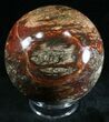 Colorful Petrified Wood Sphere #29000-2
